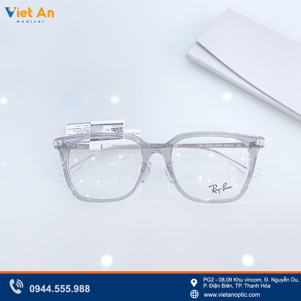 Gọng kính Rayban nhựa cao cấp hàng hiệu